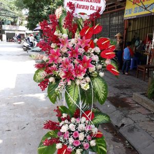 Hoa Khai Trương KT11
