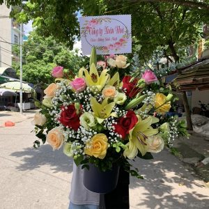 Hoa chúc mừng CM43